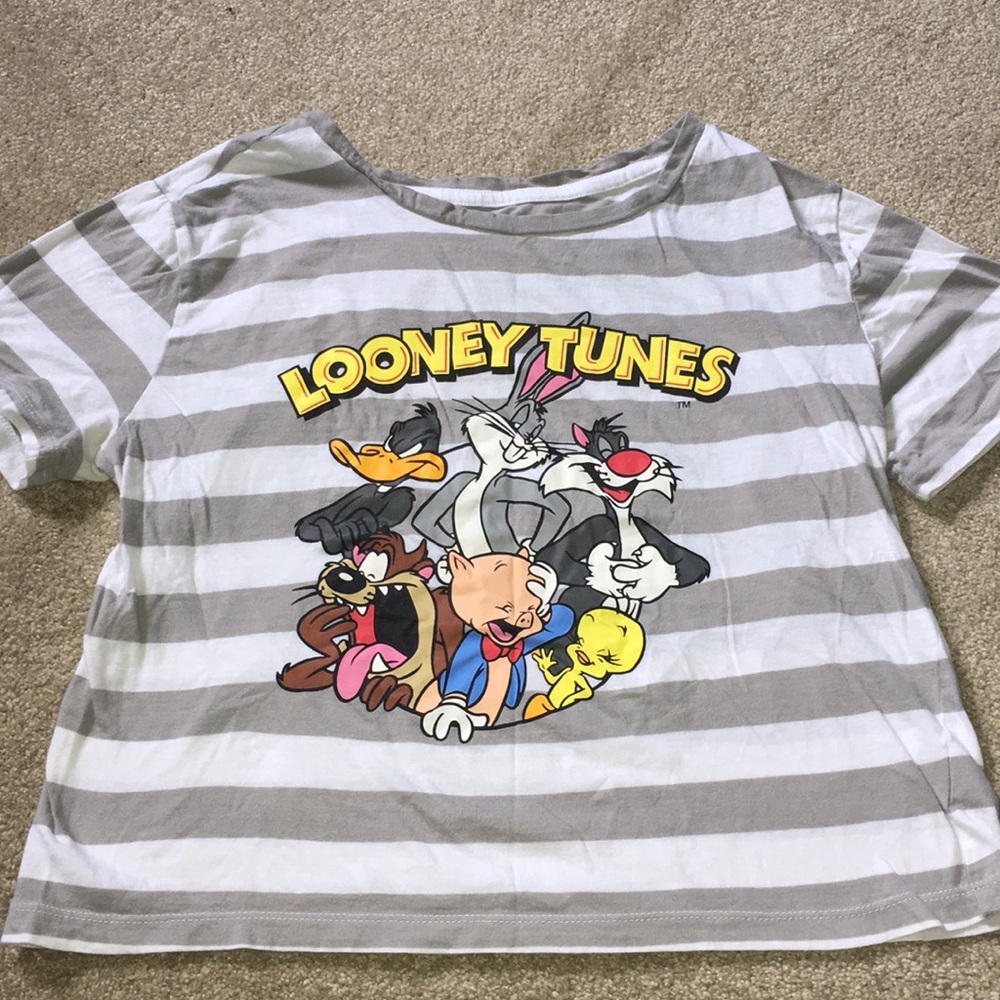 Looney Tunes Striped Crop Top